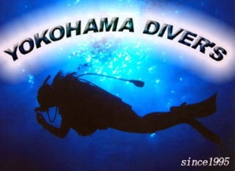 ���l�_�C�o�[�Y